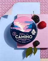Product Wild berry | Gummies 20pk