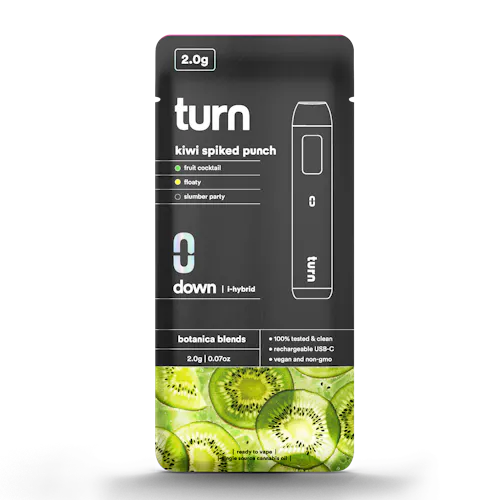 Kiwi Spiked Punch | Disposable | 2g-1