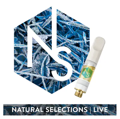 AIO | Tropical Zinger | Hash Rosin Wand