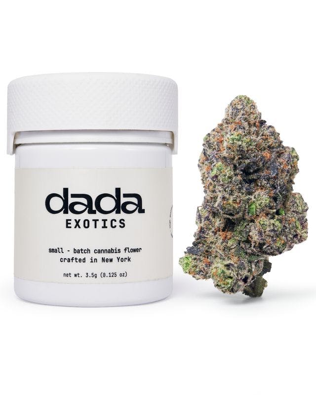 DaDa | Custard Cream | 3.5g (Premium Cannabis)