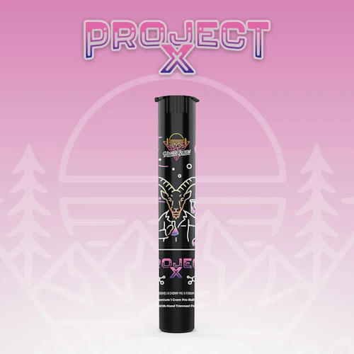 Voyage Bloom - 1g Preroll - Project X