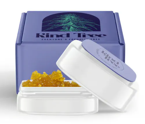 Kind Tree – Georgia Mintz Live Resin Sugar (1g)-active