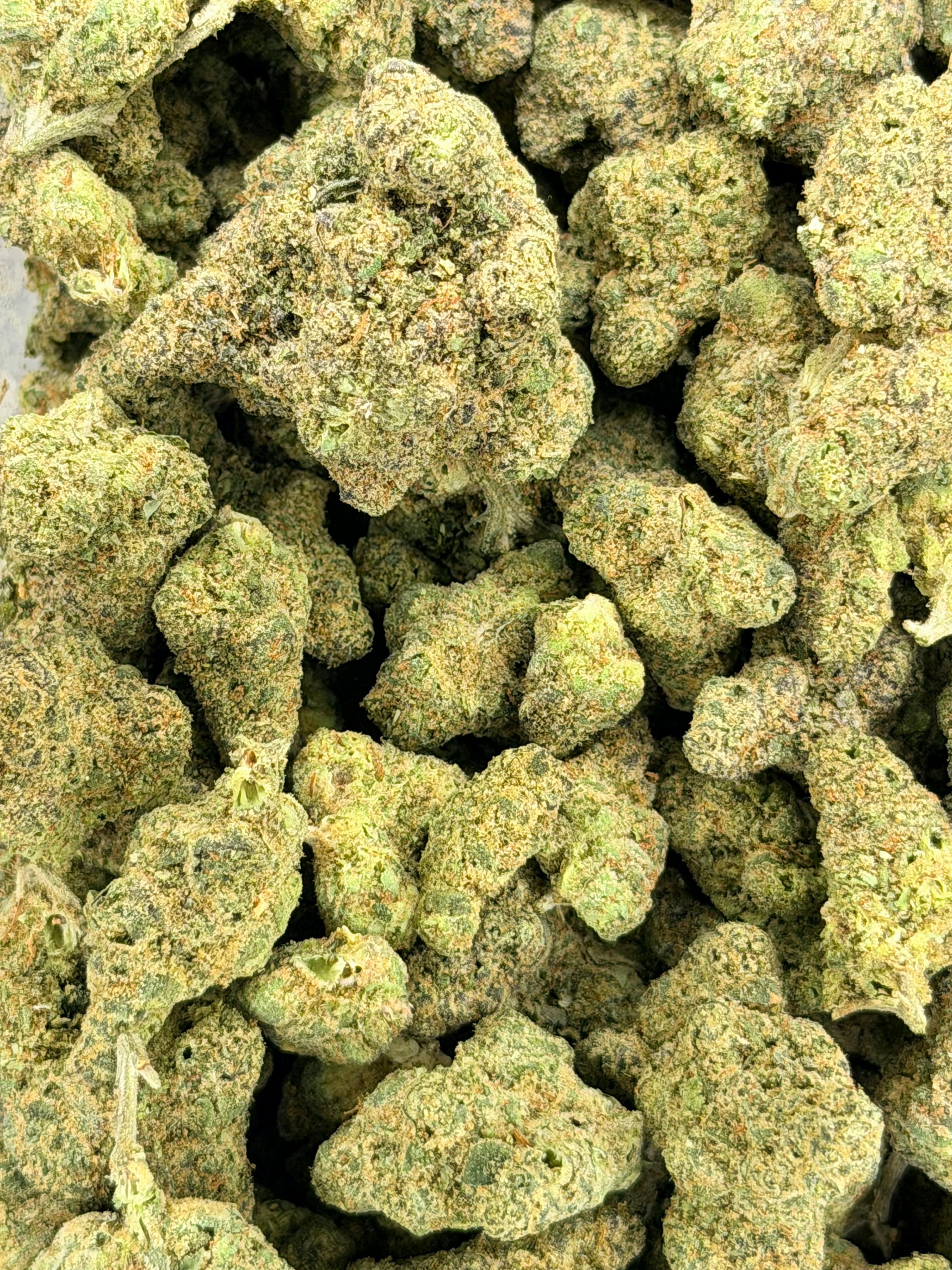 Thin Mint x Biscotti | Deli Flower (Platinum)