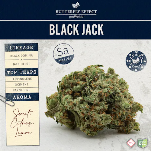 Grow Ohio | Black Jack (Budlets) | 14.15g | Sativa-active