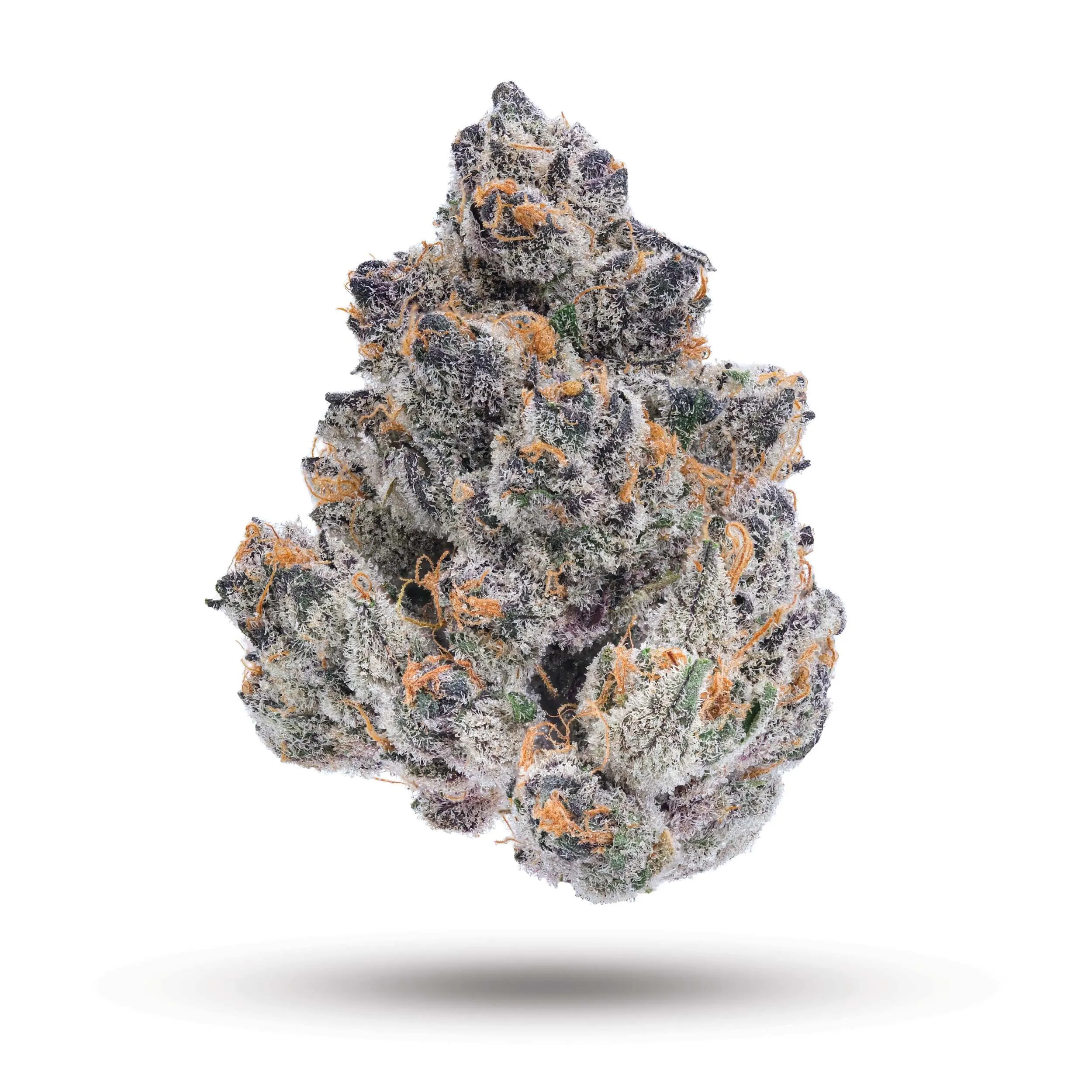 Lightshade (Dayton Rec & Med Dispensary)
