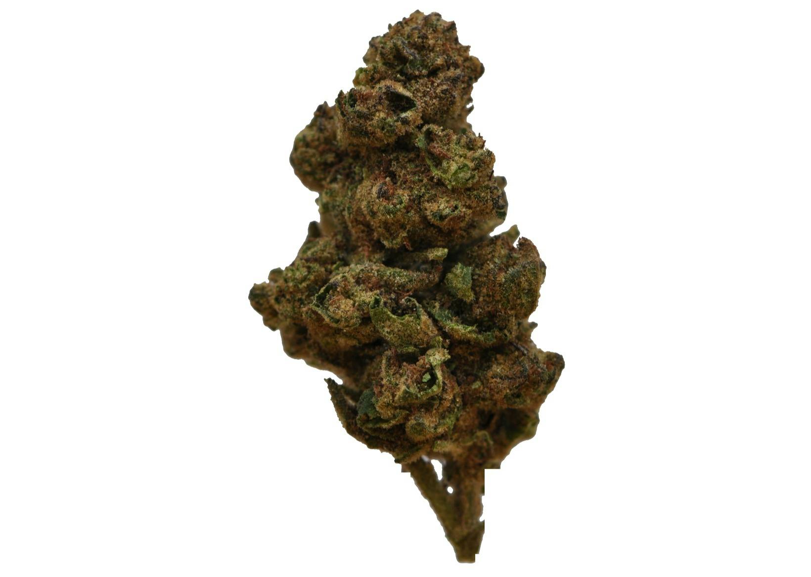 image of Grape Gas House Flower