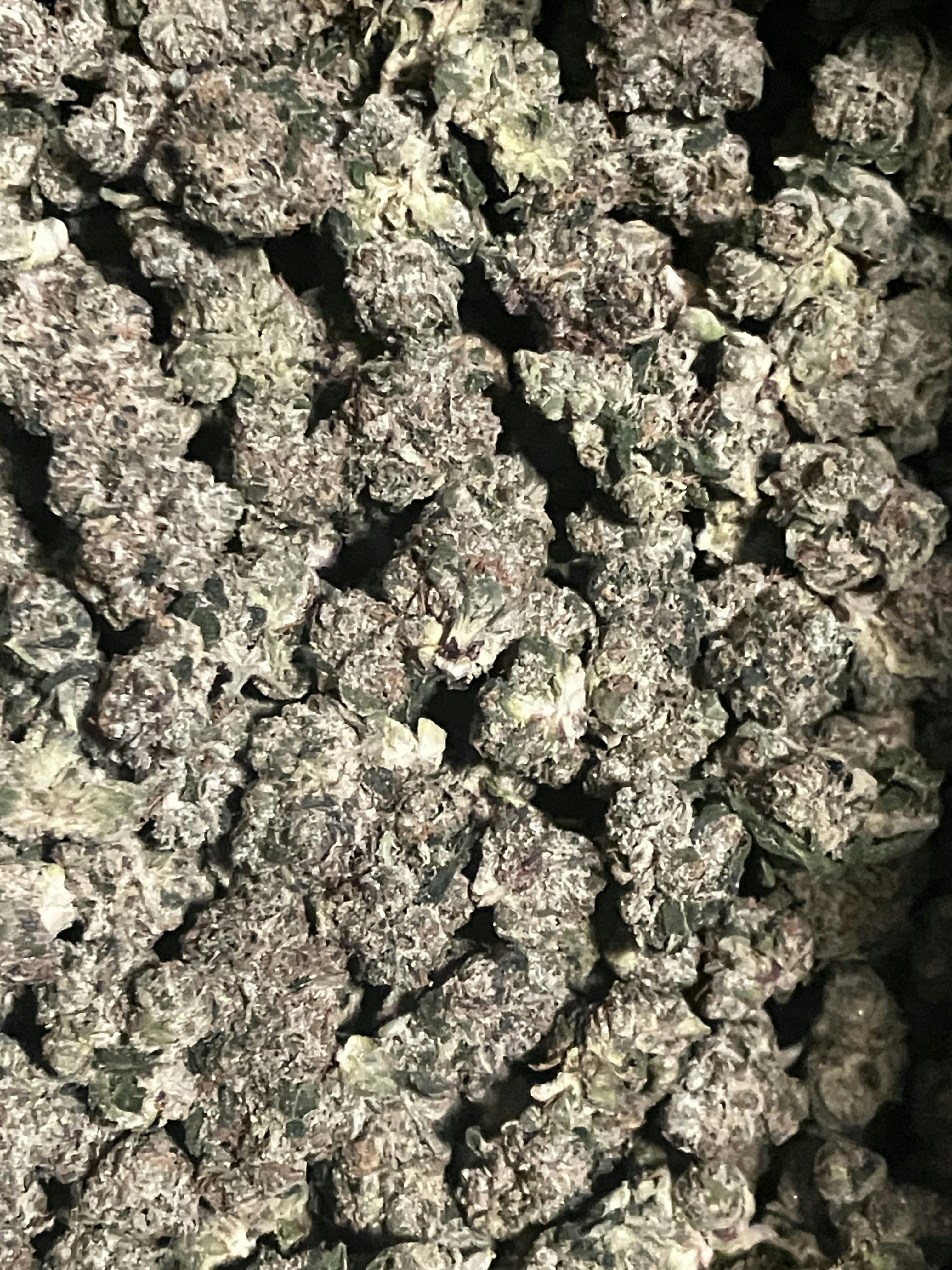 Rainbow Candy | Smalls | Muskegon Grow