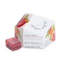 Pomegranate 1:1 CBD + Hybrid Enhanced Gummies - Thumbnail 1
