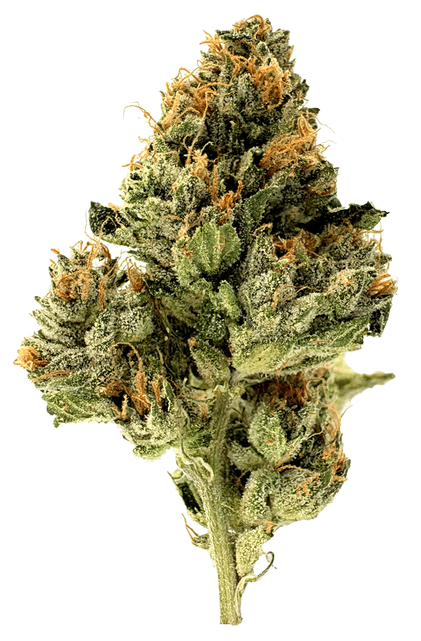Cannabis Flower | Grass Valley Provisions