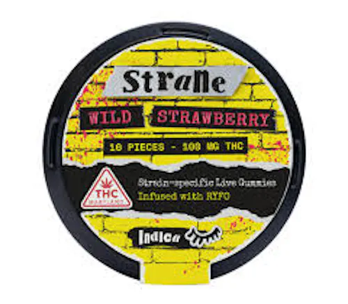 Strane Wild Strawberry Live Gummies | 100mg-1