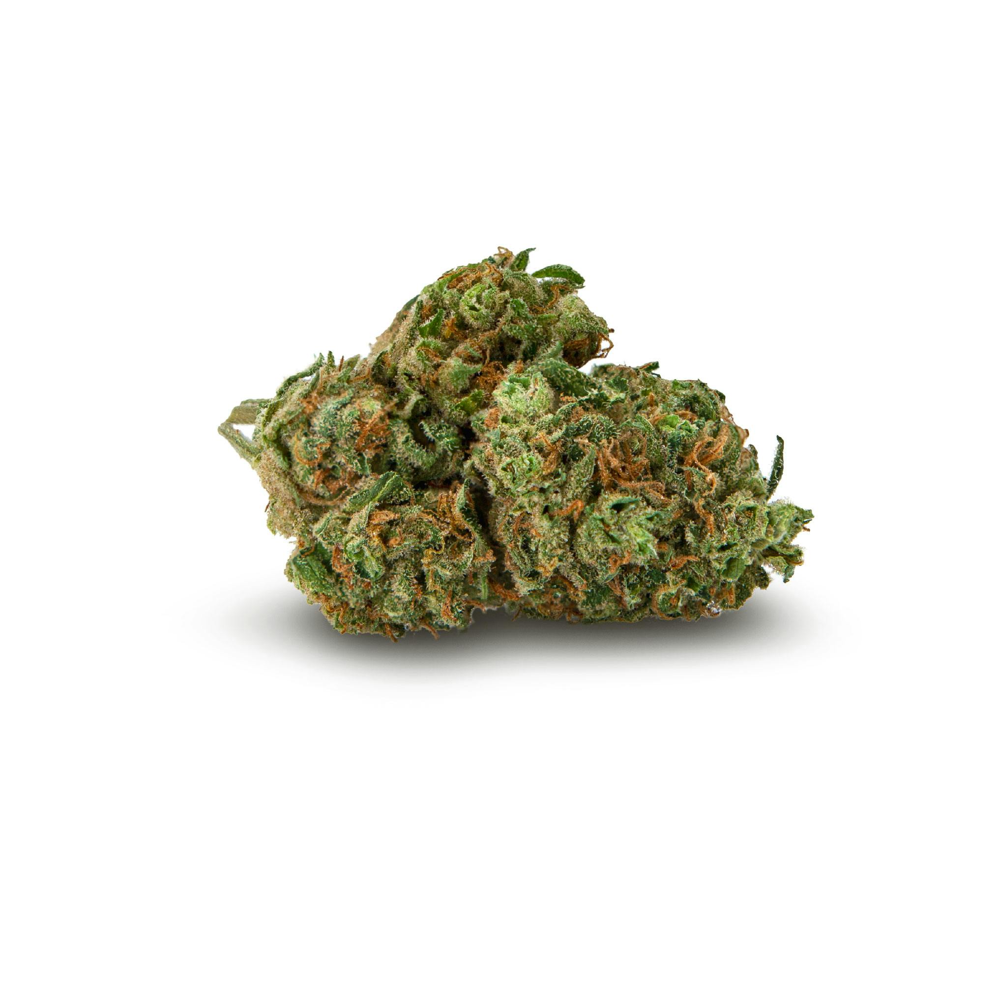 Afghani Hound #3 Whole Flower