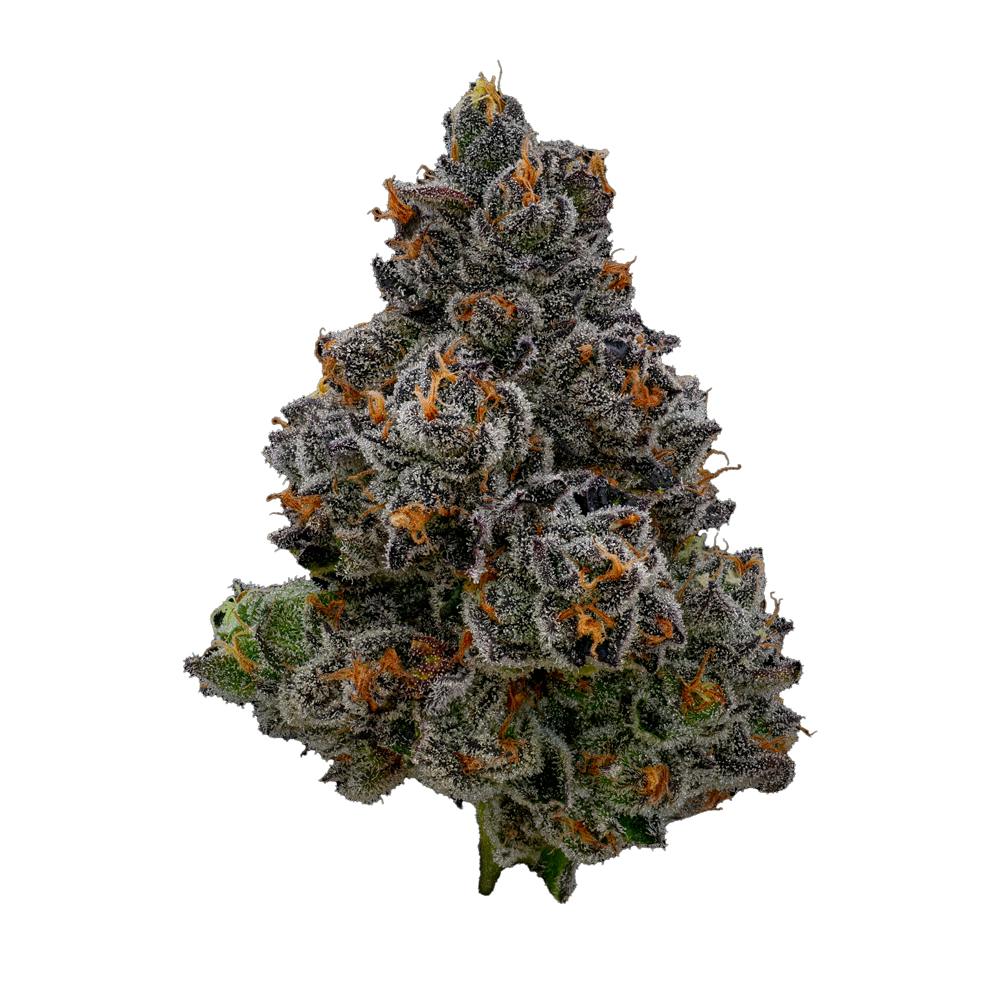 GDF: Flower | Gaschata #01 | 3.5g | CODES - Chillicothe