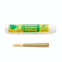Golden Putang - Preroll 1g