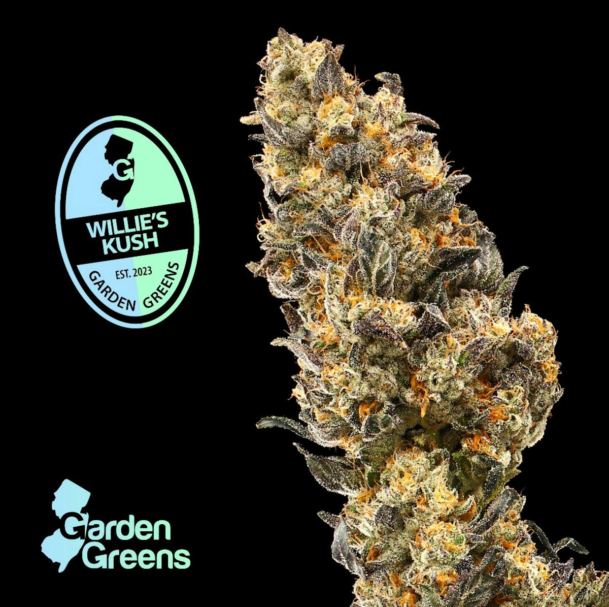 Photo of Garden Greens Willy Kush 3.5g