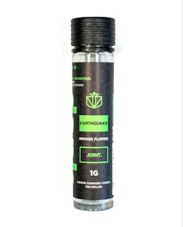 Dank. By Definition | Earthquake | Pre roll | 1g