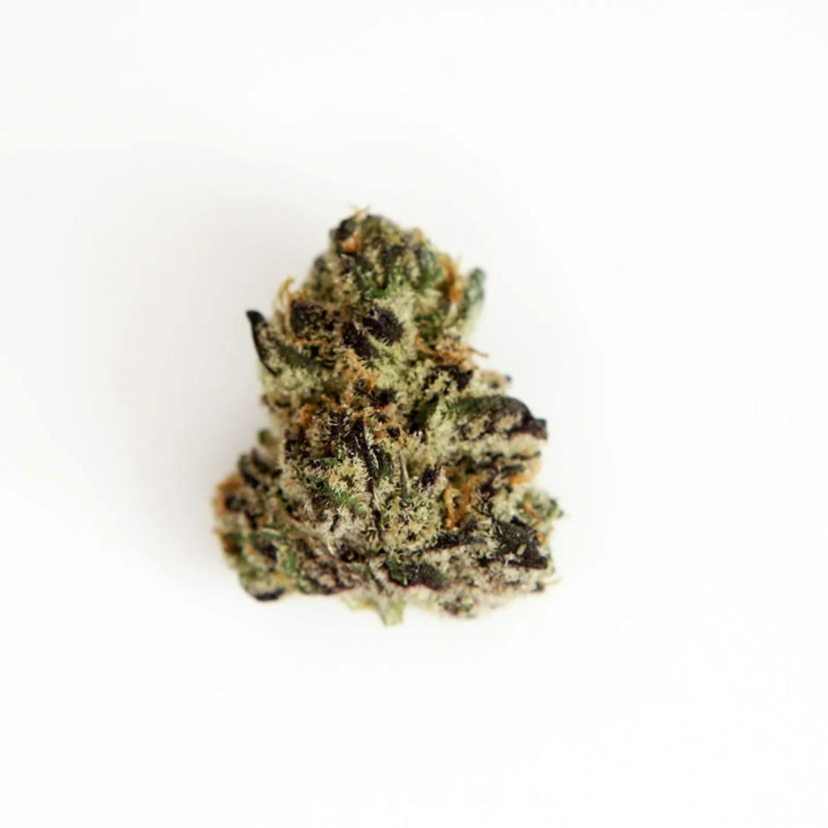 Photo of Gold Shelf – Grape Pie x Gelato 41 (I)
