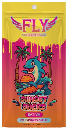 Fly - 2g Disposable - Sunset Sherb