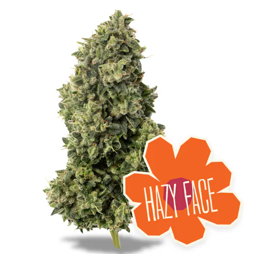 District Cannabis Hazy Face Flower 7g-2