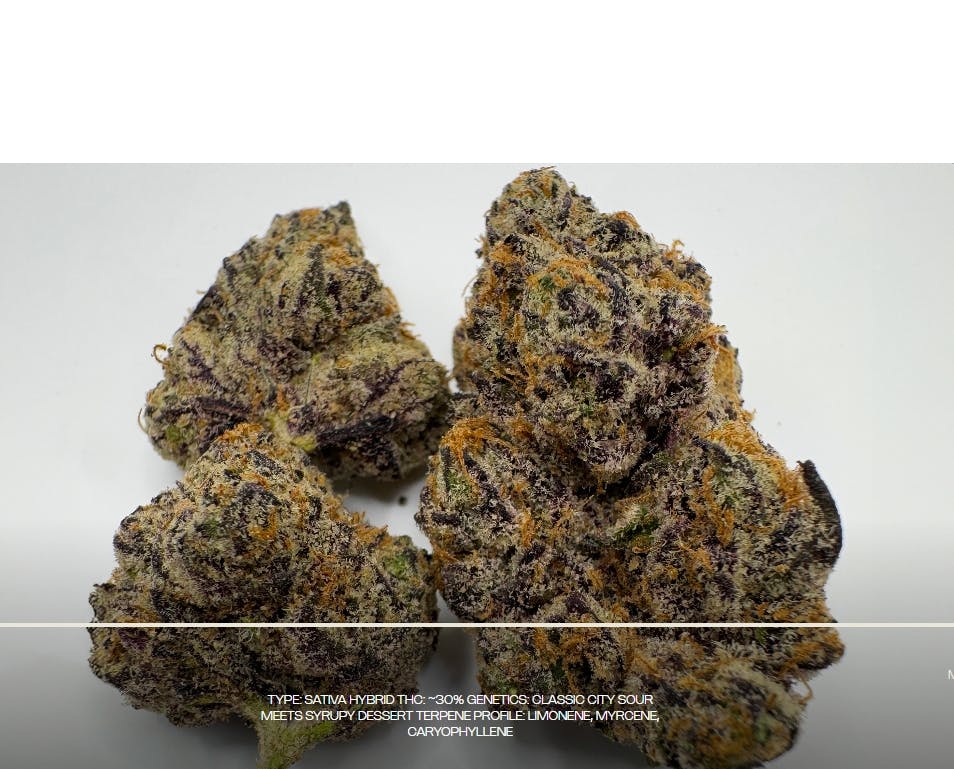 WEED Kapital 420 フラワーウエストポーチ ほぼ新品