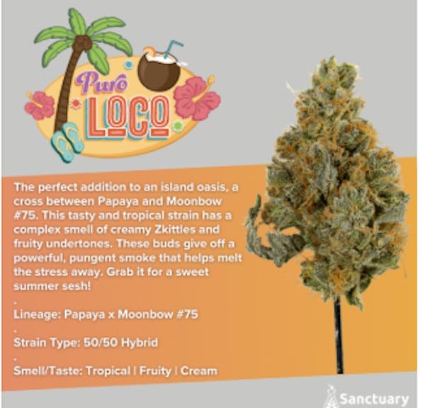 Puro Loco Flower | Sanctuary