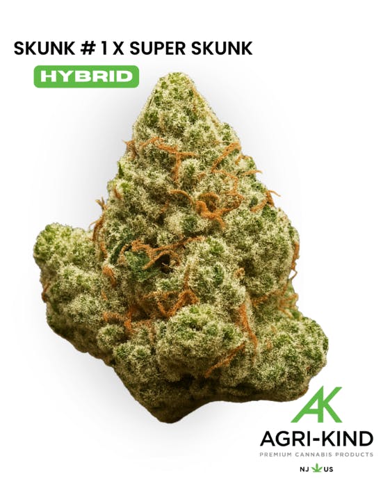 Agri-Kind Skunk #1 x Super Skunk Chillum