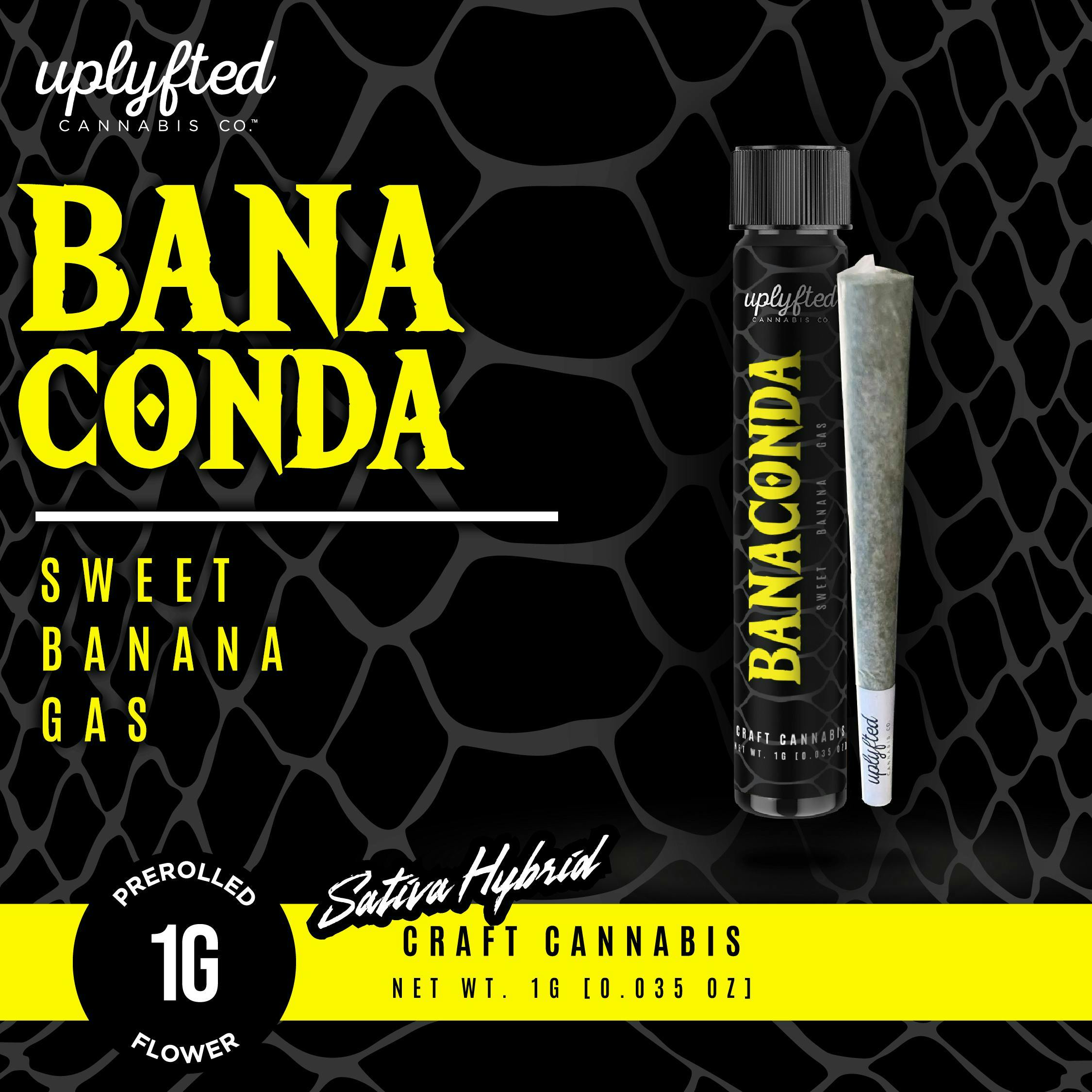 Product: UPLYFTED | BANACONDA | PRE-ROLL SATIVA/HYBRID