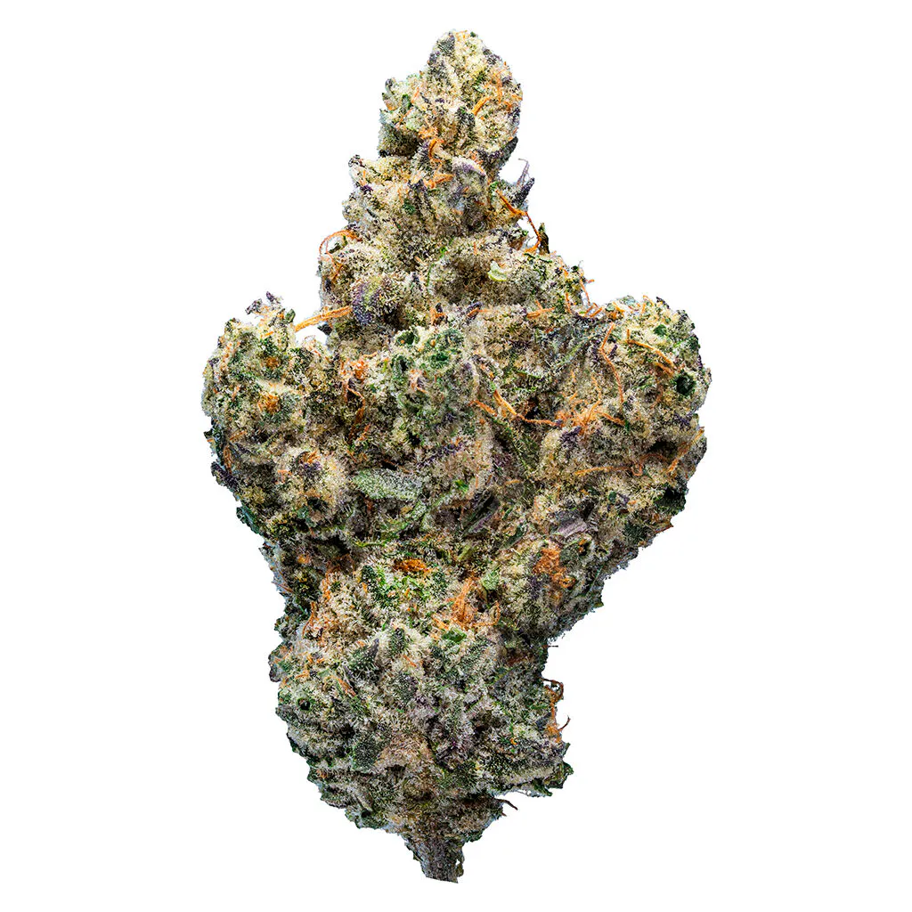 TreeTop - Burlington