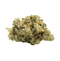 AGL Afternoon Delight