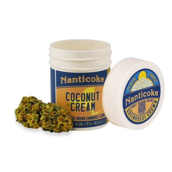 Coconut Cream Indica | Nanticoke