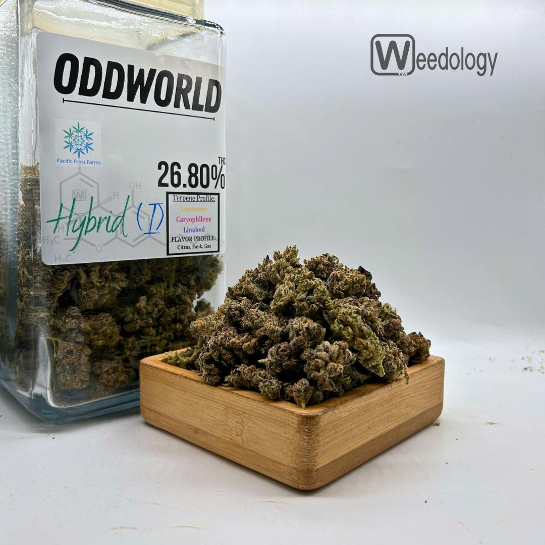 Image of product