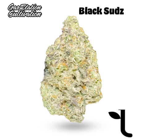 Black Sudz | Gas Station Cultivation