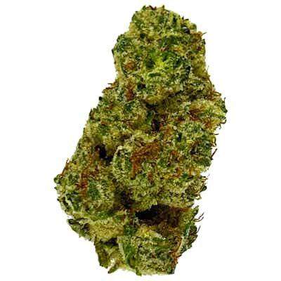 Product: Mighty Fine | Certified Organic Jack Herer | 7g