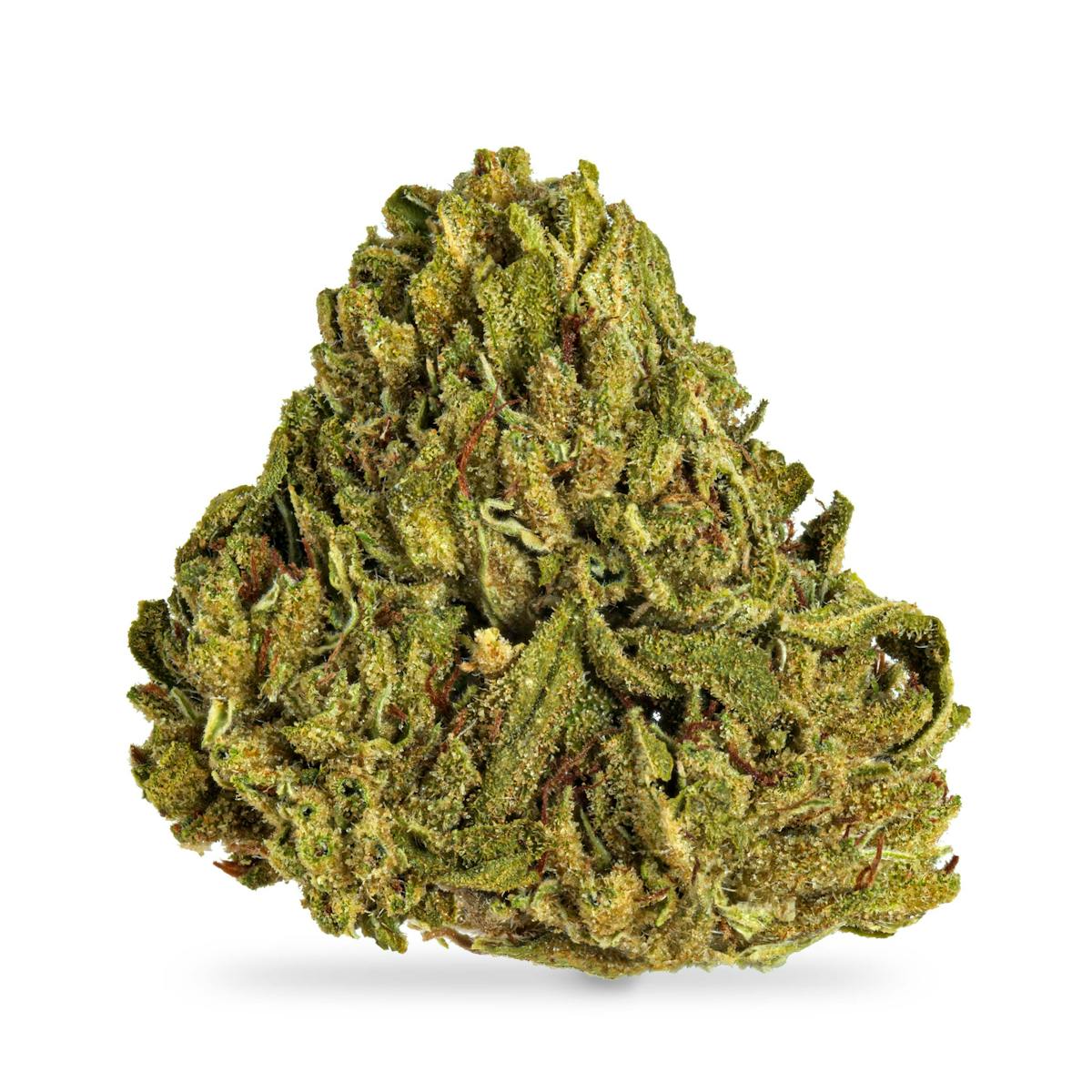 Photo of White Z B Buds