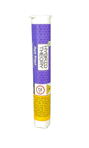 Hybrid Theory | Aye Papi | Pre-Roll | Hybrid-active