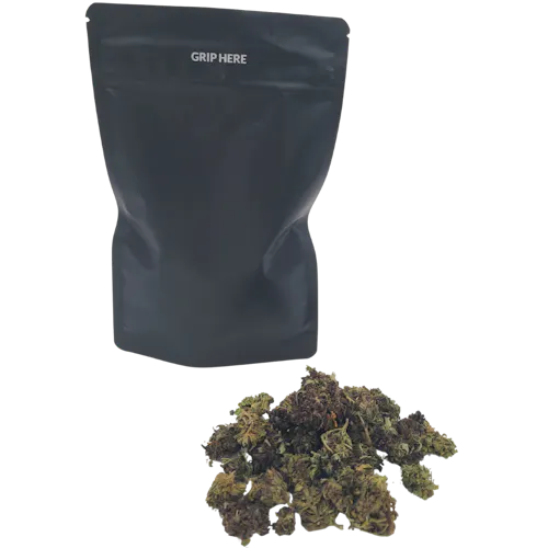 Oceana Gardens | Squirt Prepack-active