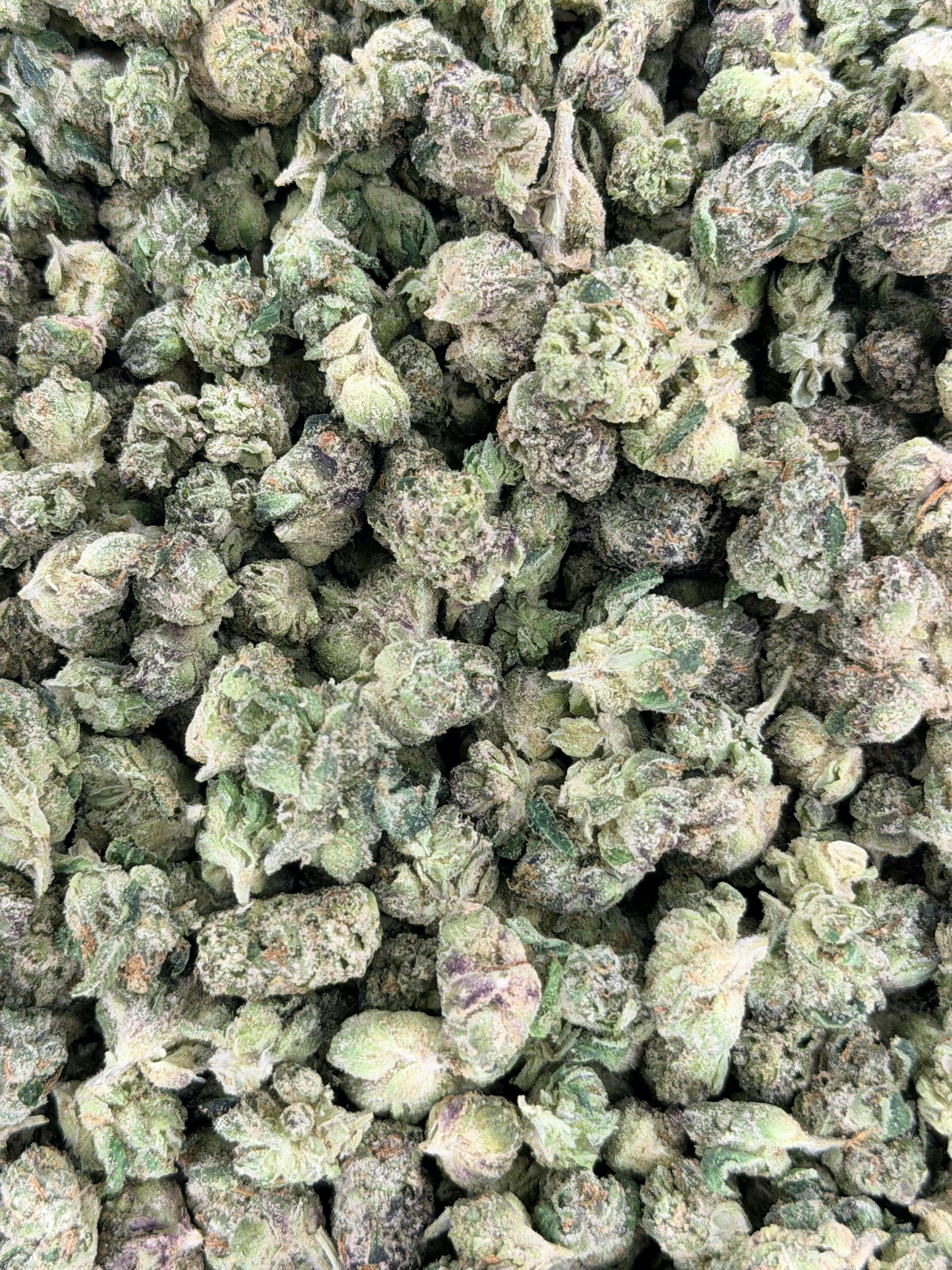 Cookies | Black Cherry Gelato | Deli Flower (Smalls)