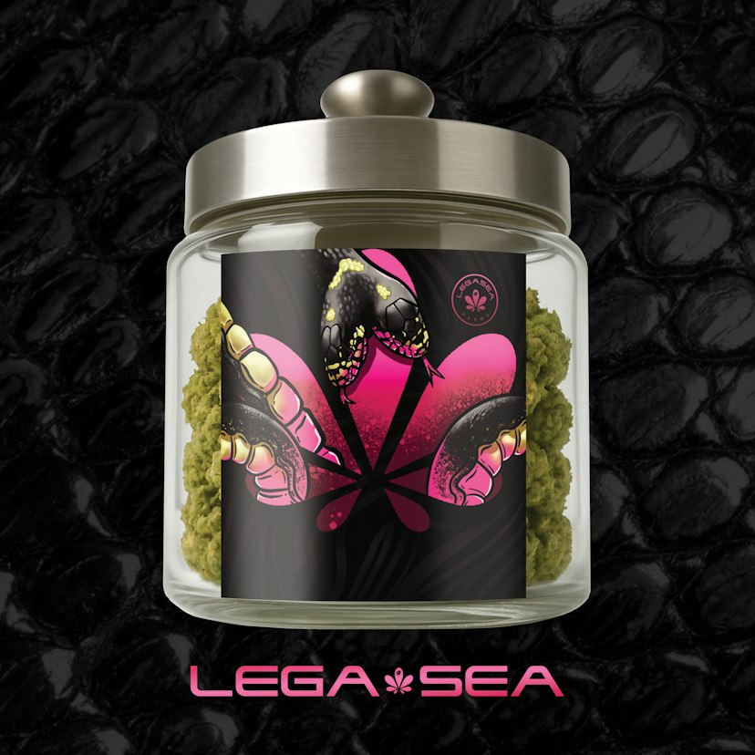 Legasea | GMO Bomb