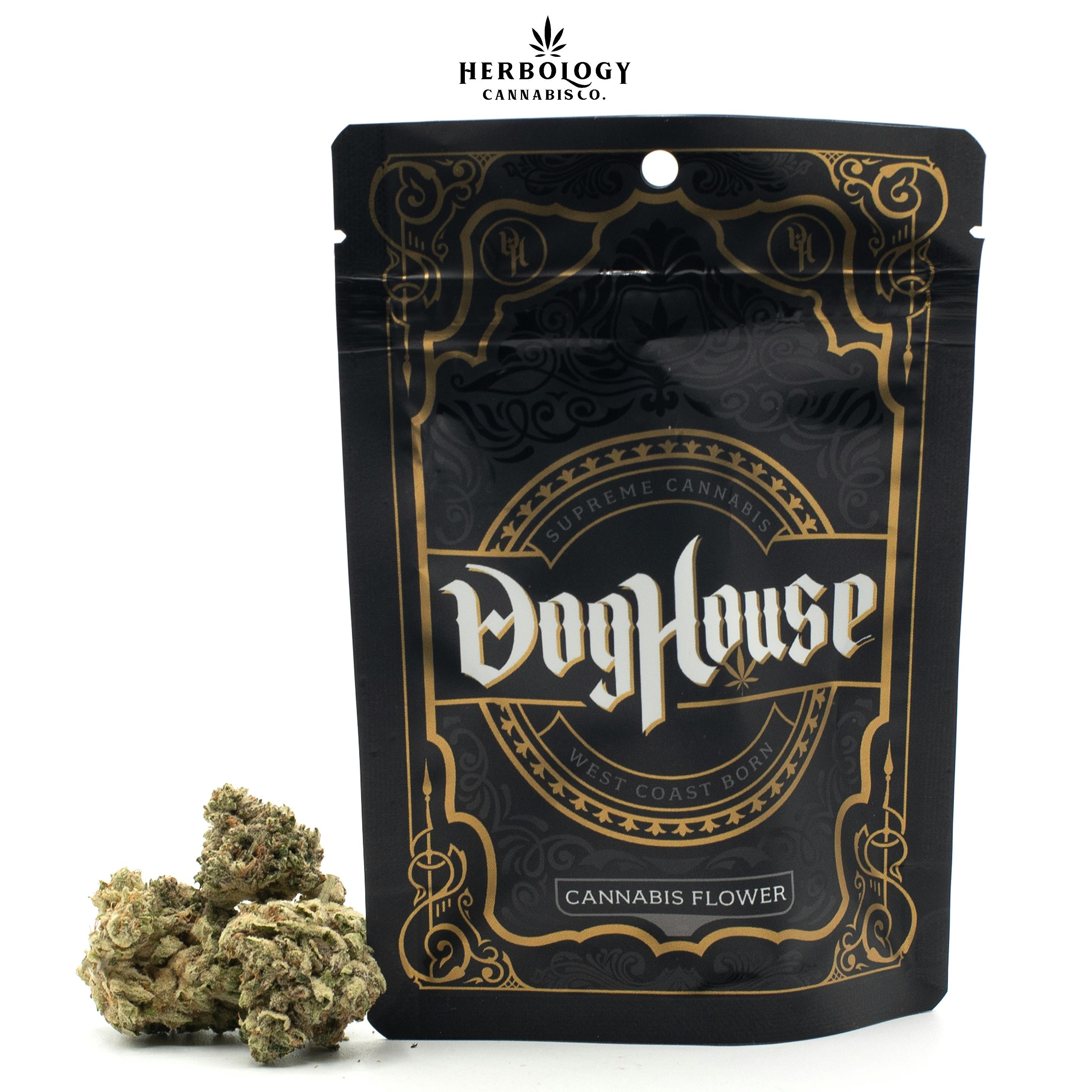 Supreme cannabis company inc stock sales