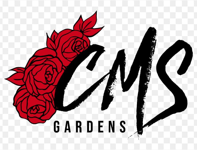 cms gardens disposable vape Popular Vaporizers