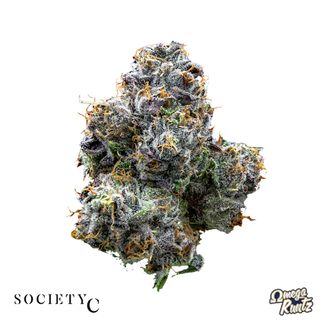 DELI - Society C - Omega Runtz - product image at King of Budz