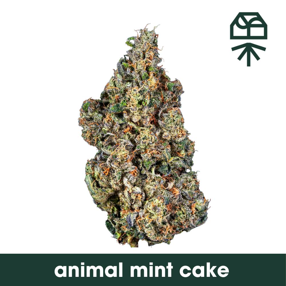 Photo of Grassroots | Animal Mint Cake | Diamond Infused Flower 3.5g