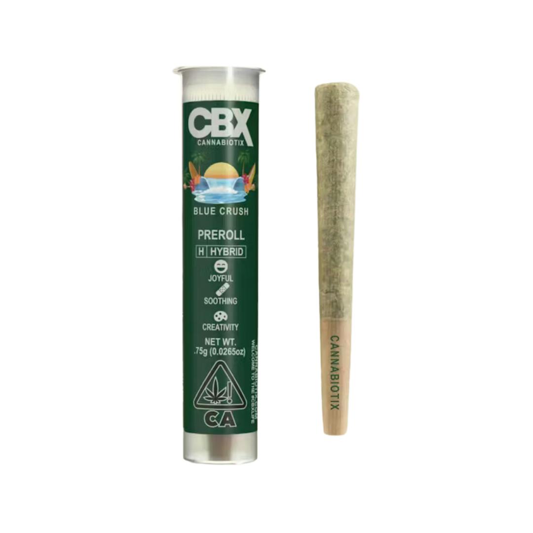 BLUE CRUSH PREROLL