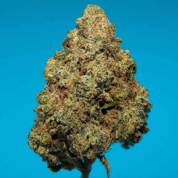 Ghost Dawg (IH) - 7g Flower - Root & Bloom