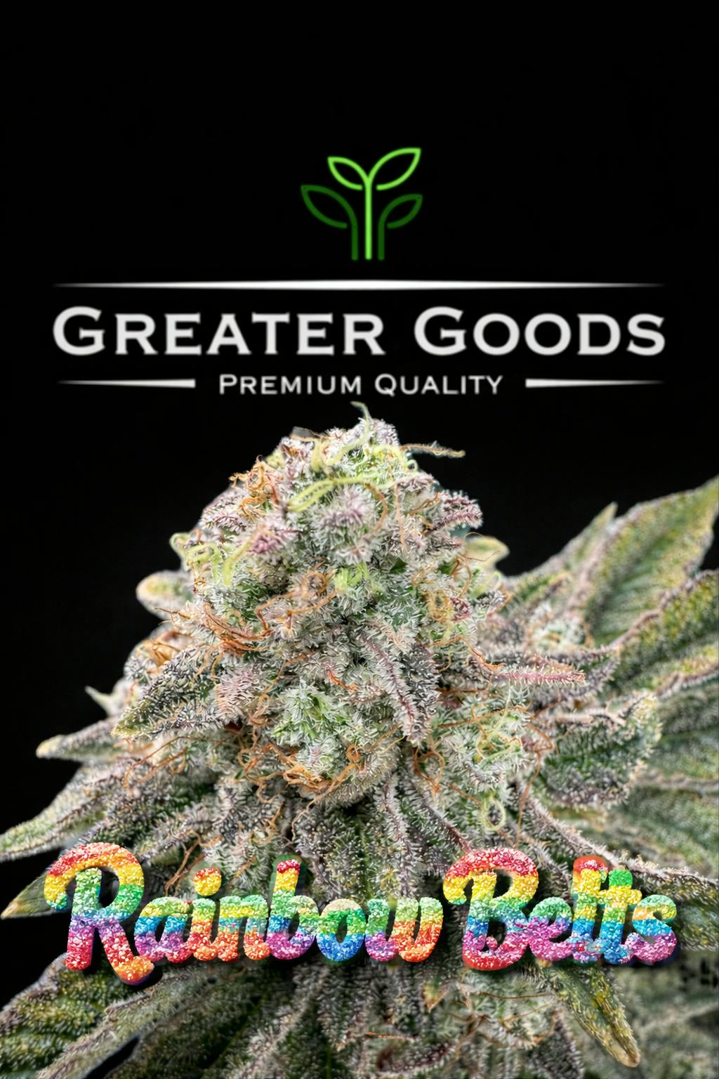 Product Rainbow Belts - Flower