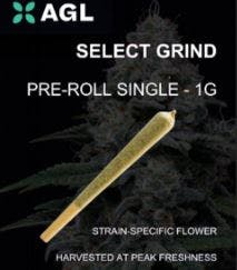 AGL 1g Select Grind Pre Roll Hybridol AD 22873 H 1pk Affinity