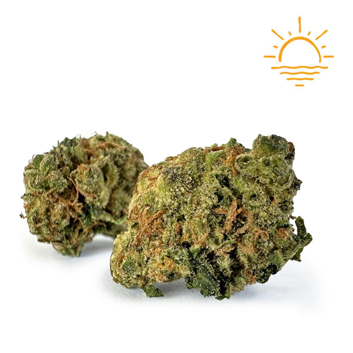 Image of Whistling Moon Traveler | 3.5g