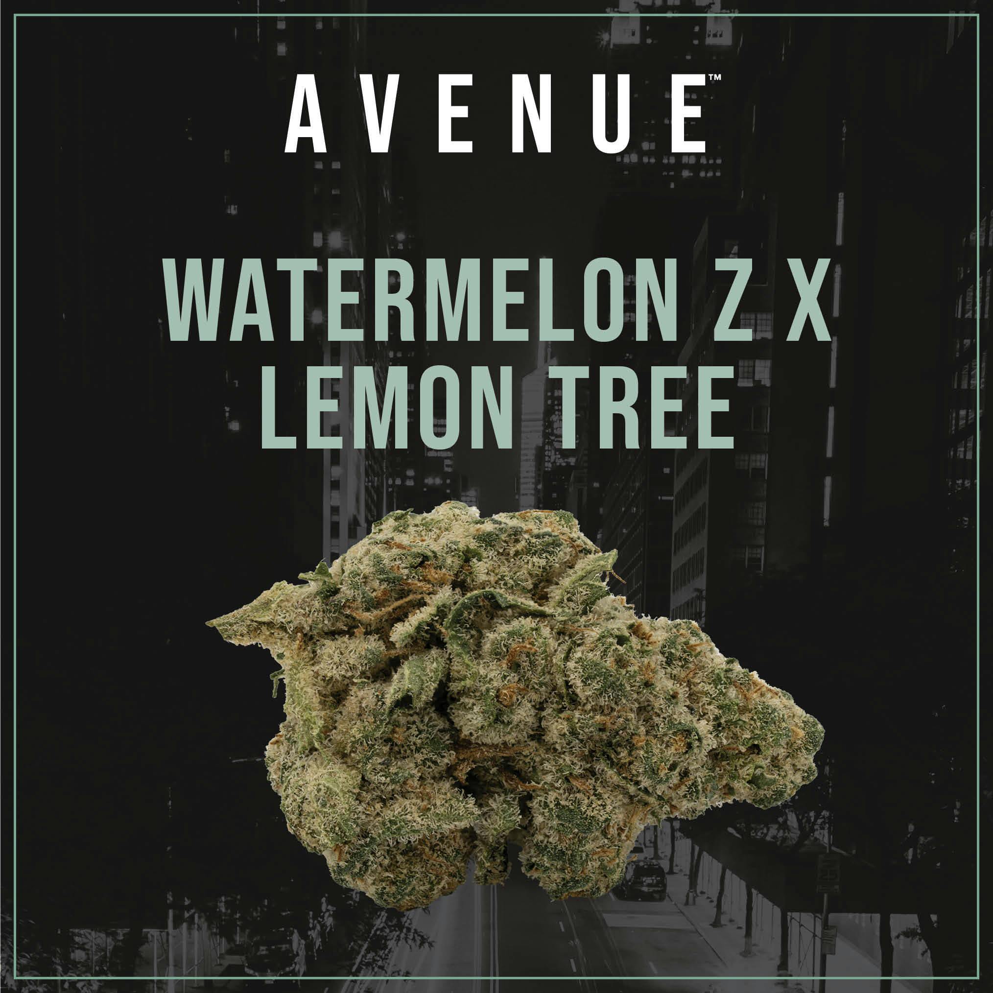AVENUE: Watermelon Z x Lemon Tree Flower | Trulieve