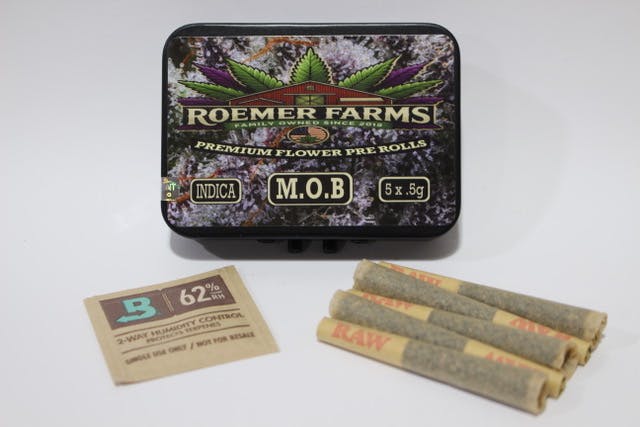 スリーブ 愛 DOMINA LORDS 2個セット ROSS