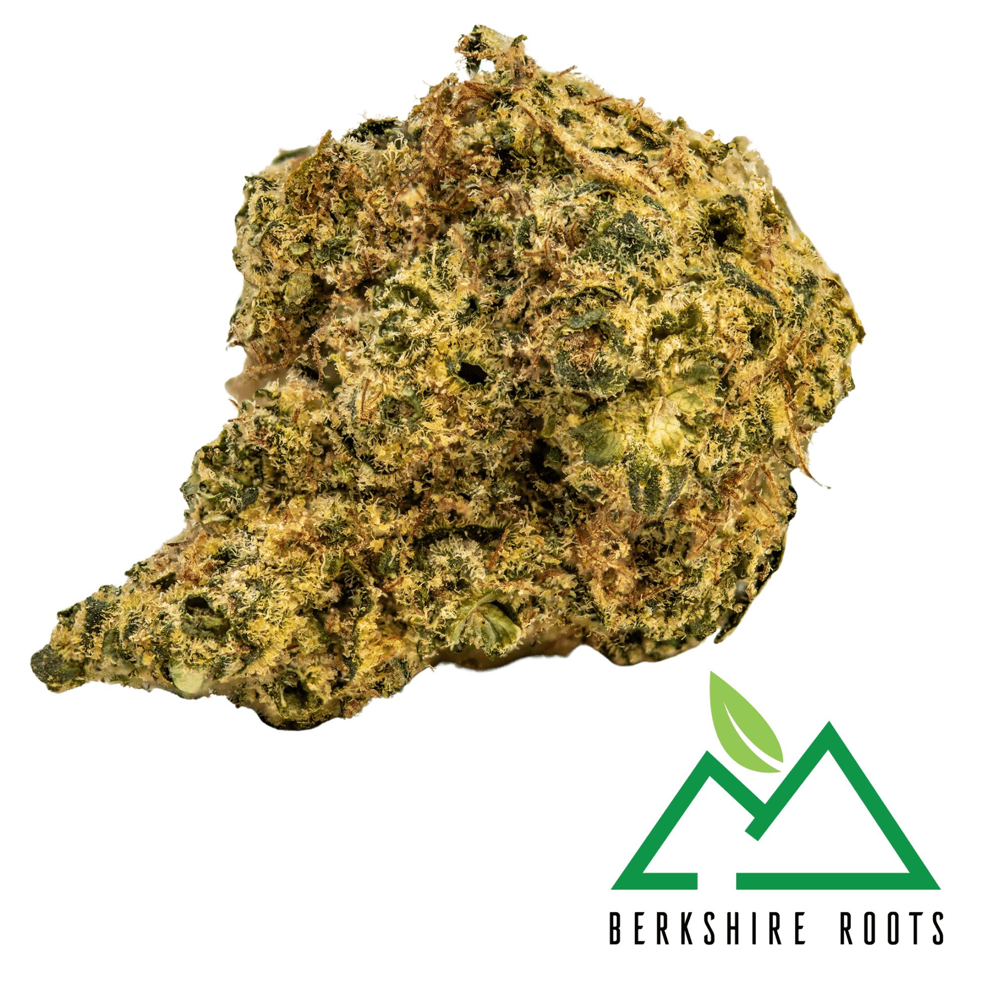 Product Orange Chemeleon (S) | Flower | 28g