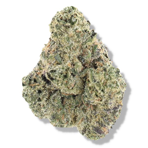 Product Image Alt